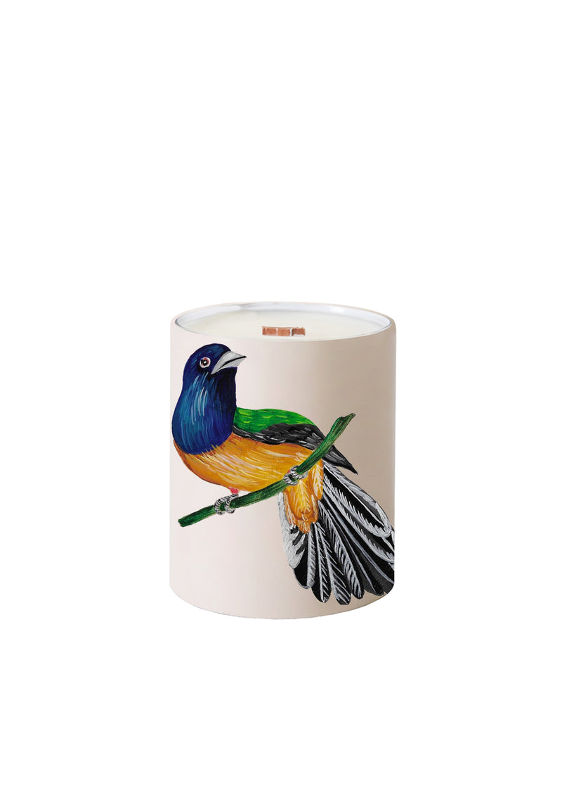 Bird and Olive Beige Candle